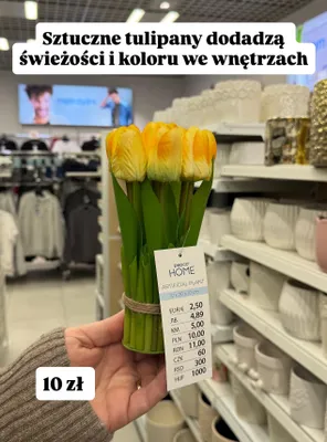 Sztuczne tulipany  promocja w Pepco