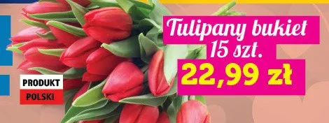 Tulipany bukiet 15 szt. promocja w TOPAZ