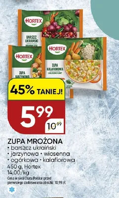 Zupa mrożona wiosenna Hortex promocja w Chata Polska