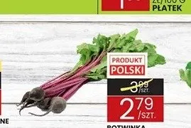 Botwinka polska promocja w Wafelek