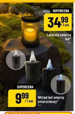 Wkład led solarny zmierzchowy promocja w POLOmarket