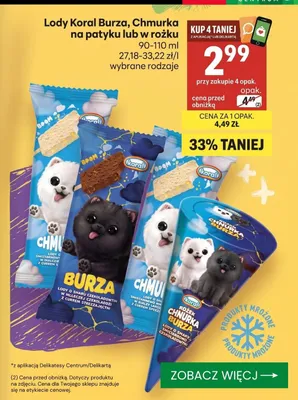 Lody Koral promocja w Delikatesy Centrum