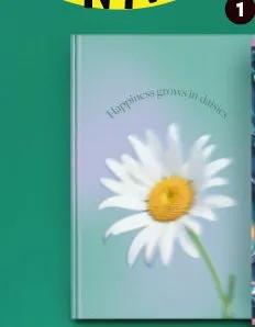 Brulion A5 96 kartek w kratkę promocja w Biedronka