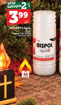Wkład WP4 Ognik Bispol promocja w TOPAZ