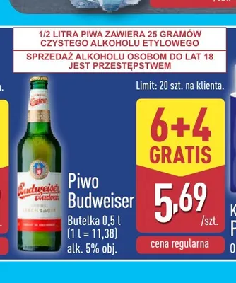 Piwo Budweiser promocja w Aldi