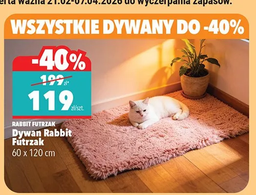 Dywan Rabbit Futrzak 60 x 120 cm promocja w Biedronka