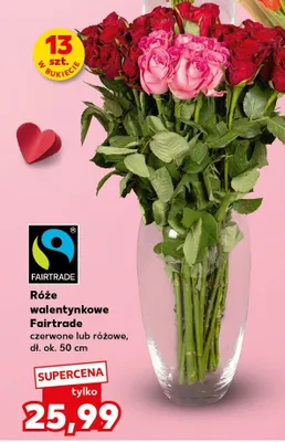 Róże walentynkowe Fairtrade czerwone lub różowe promocja w Kaufland