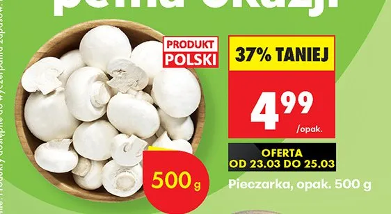 Pieczarka promocja w Biedronka