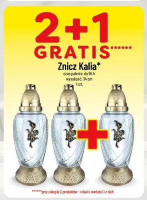 Znicz Kalia promocja w POLOmarket