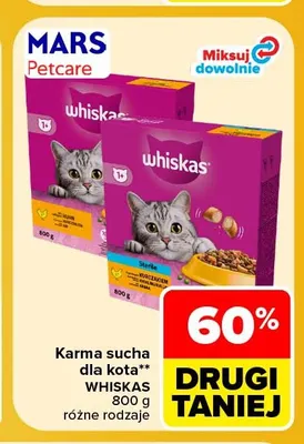 Karma sucha dla kota Whiskas promocja w Carrefour Market