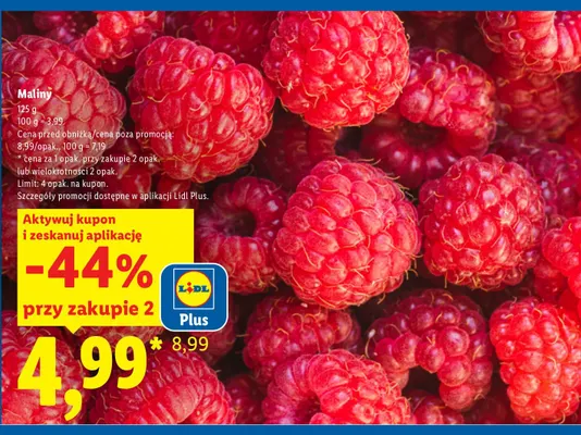 Maliny promocja w Lidl