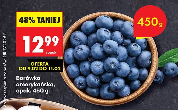 Borówka amerykańska promocja w Biedronka