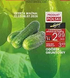 Ogórek gruntowy promocja w Wafelek