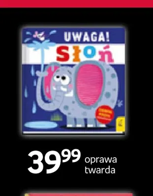 Książka Uwaga! Słoń oprawa twarda Wilga promocja w Empik