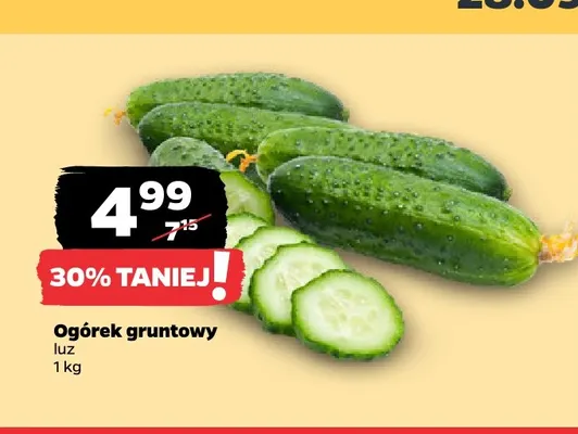 Ogórki gruntowe promocja w Netto