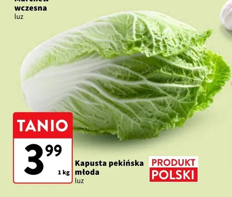 Kapusta pekińska młoda promocja w Intermarche