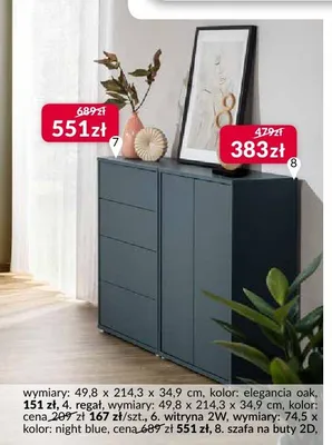 Witryna 2W Forte promocja w Salony Agata