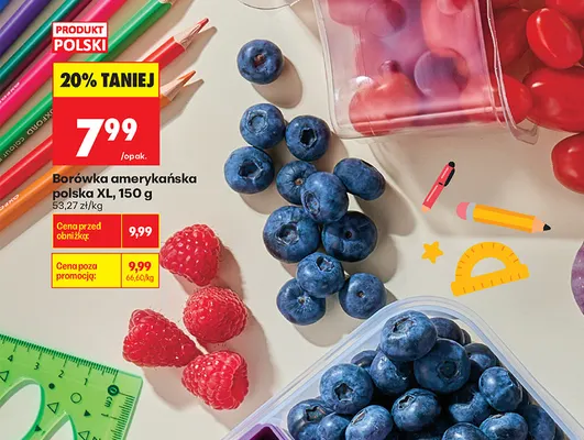Borówki amerykańskie polskie XL promocja w Biedronka