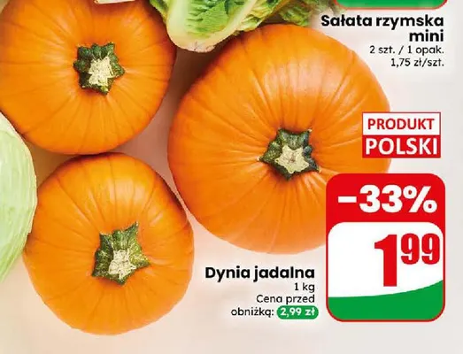 Dynia jadalna promocja w Dino