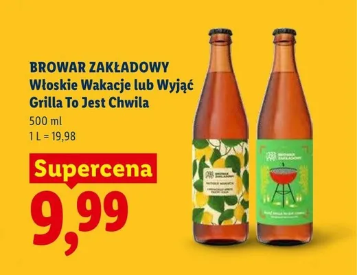 Piwo Browar Zakładowy Wyjąć Grilla To Jest Chwila promocja w Lidl