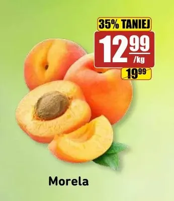 Morela promocja w API Market