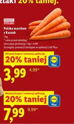 Marchew z Kaszub promocja w Lidl