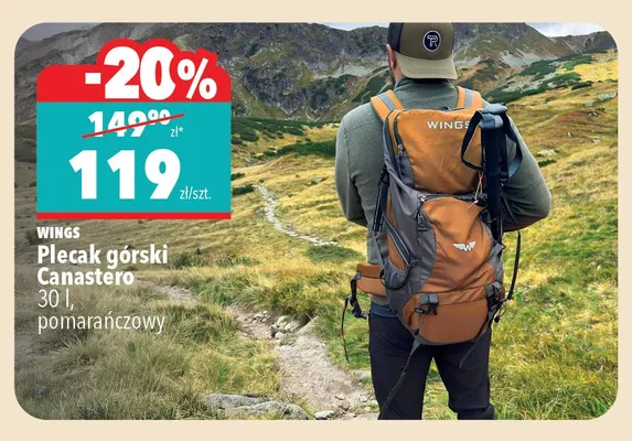 Plecak górski Wings Canastero 30 l promocja w Biedronka Home