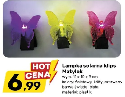 Lampka solarna klips Motylek promocja w Bricomarche