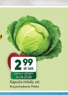 Kapusta młoda promocja w Avita