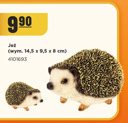Jeż promocja w MR. DIY