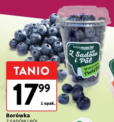 Borówka Z Sadów i Pól promocja w Intermarche