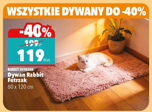 Dywan śr. 120 cm promocja w Biedronka Home