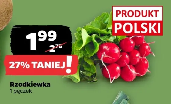 Rzodkiewki promocja w Netto