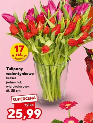 Tulipany walentynkowe bukiet jedno- lub wielokolorowy promocja w Kaufland