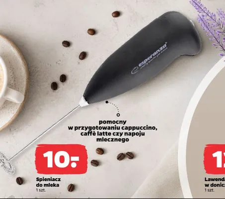 Lawenda w doniczce promocja w Netto