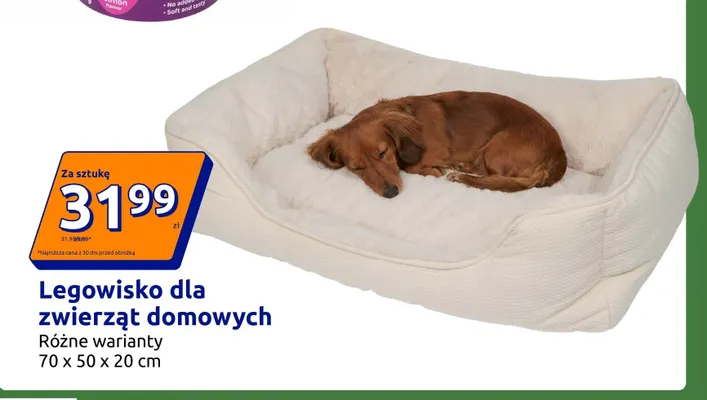 Legowisko dla zwierząt domowych 70x50x20 cm promocja w Action