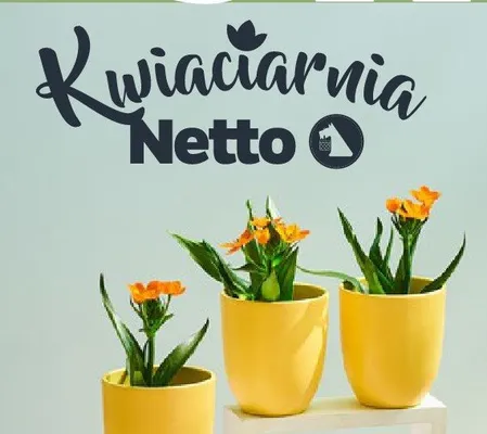 Gazetka Spożywcza, strona 6 promocja w Netto