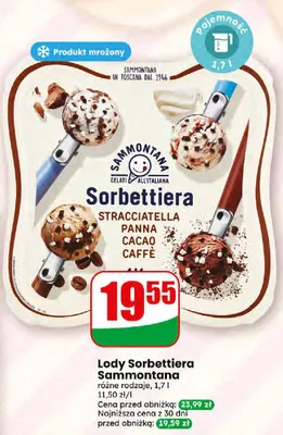 Lody Sorbettiera Sammontana różne rodzaje promocja w Dino