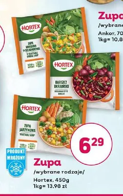 Zupa mrożona Hortex Wiosenna promocja w Bliski