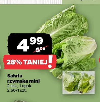 Sałata rzymska mini promocja w Netto