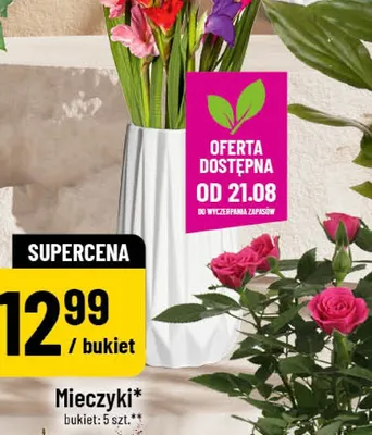 Mieczyki 5-pak promocja w POLOmarket