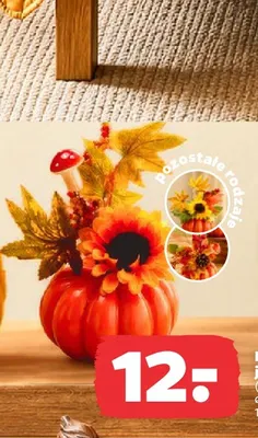 Dekoracja jesienna promocja w Netto