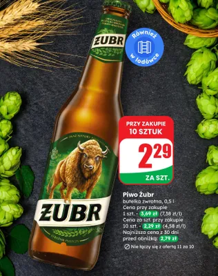 Piwo Żubr butelka zwrotna promocja w Dino