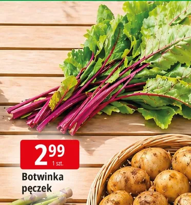 Ziemniaki wczesne promocja w Leclerc