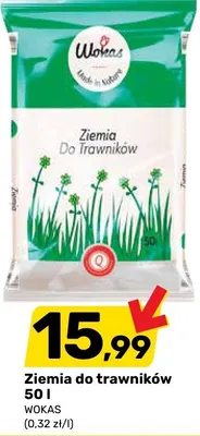 Ziemia do trawników 50 l promocja w Bricomarche