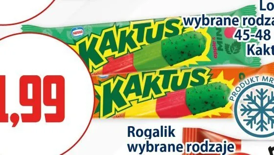 Lody Kaktus 45-48ml promocja w Kupiec