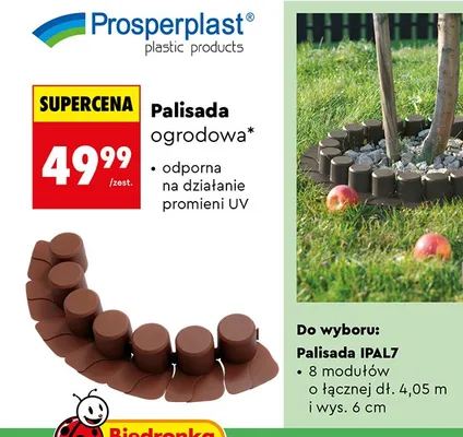 Palisada ogrodowa IPAL7 promocja w Biedronka