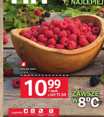 Malina promocja w Selgros