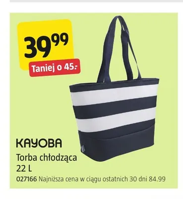 Torba chłodząca Kayoba 22 l promocja w Jula