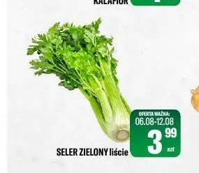 Seler zielony liście promocja w Tomi Markt